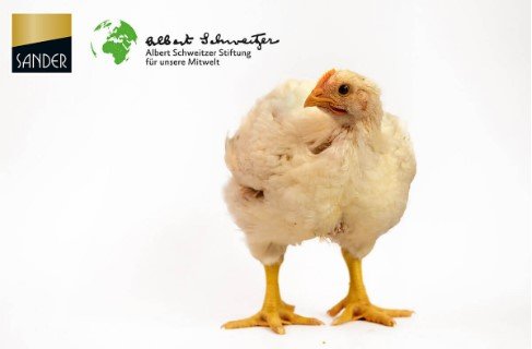 Europische-Masthuhn-Initiative