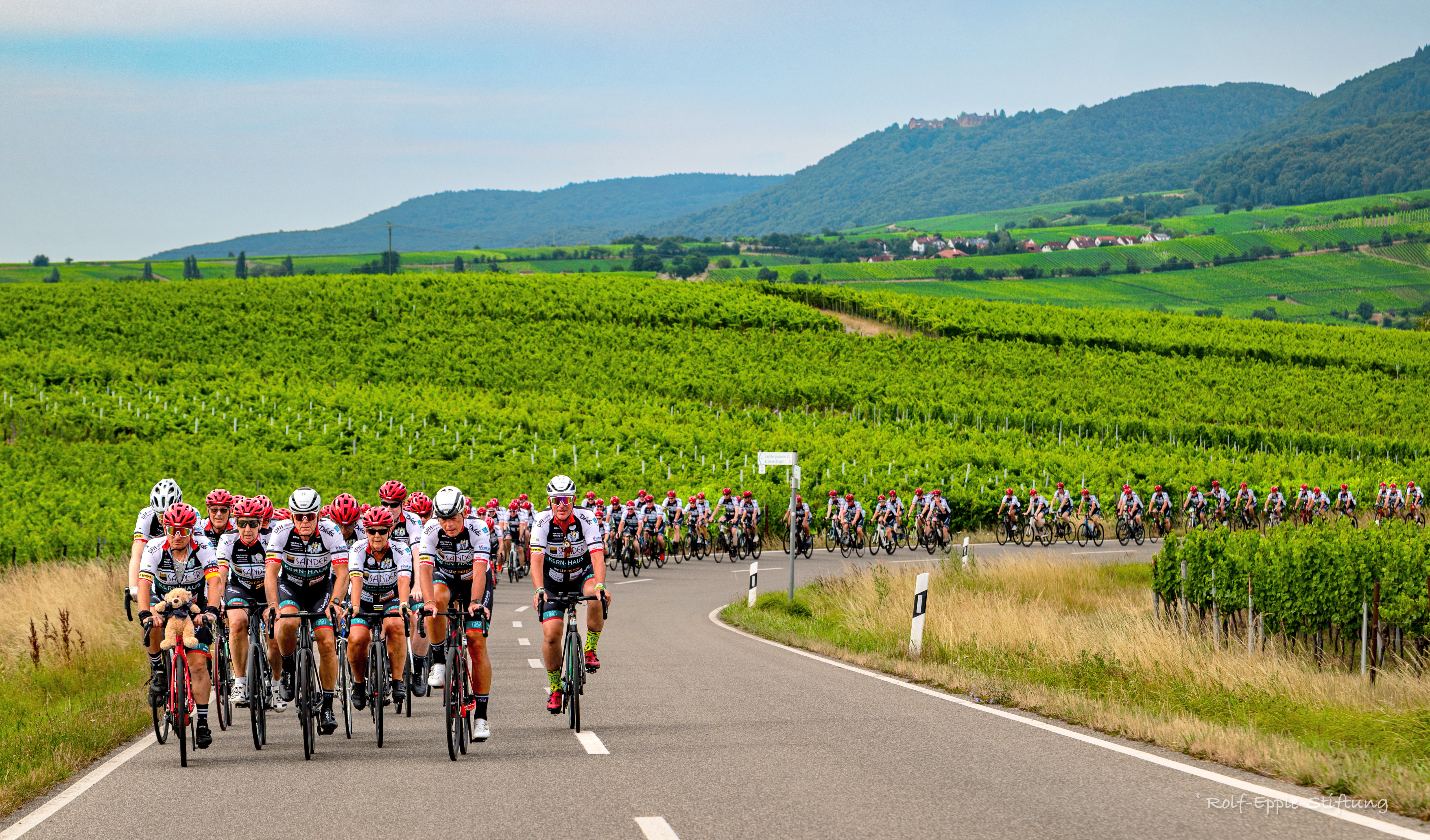 VorTour_Weinberge